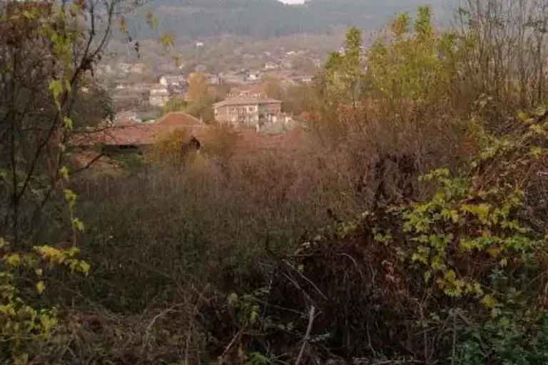 Plot in Oblast Veliko Tyrnovo, Prisovo