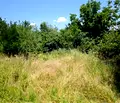 Снимка 2 — Парцел във Велико Търново, с. Върбица