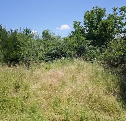 Photo 2 — Plot in Oblast Veliko Tyrnovo, Vyrbica