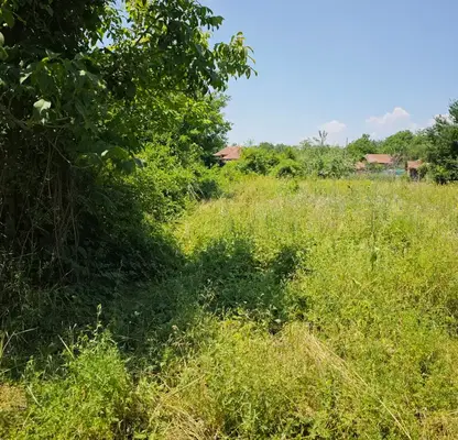 Photo 3 — Plot in Oblast Veliko Tyrnovo, Vyrbica