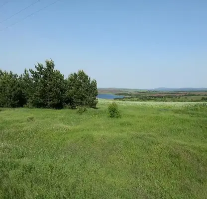 Снимка 3 — Парцел в Ямбол, с. Малко Шарково