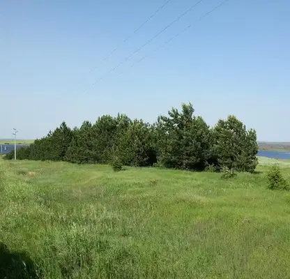 Снимка 4 — Парцел в Ямбол, с. Малко Шарково
