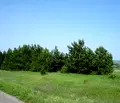 Снимка 5 — Парцел в Ямбол, с. Малко Шарково