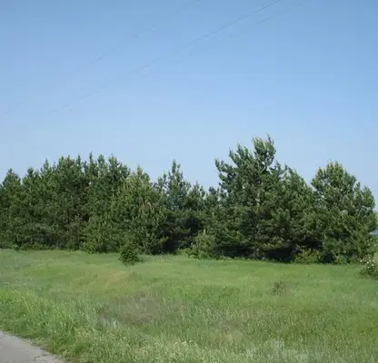 Снимка 5 — Парцел в Ямбол, с. Малко Шарково