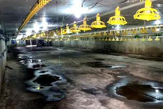 Промишлена сграда в Разград, с. Ушинци