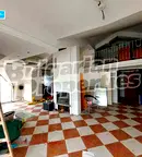 Многостаен апартамент в София, Белите брези