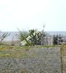 Едностаен апартамент в Бургас, Царево