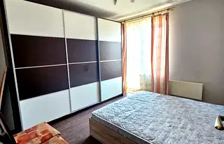 Етаж от къща в София, Елин Пелин