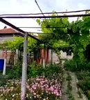 Къща в Добрич, с. Дропла