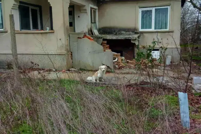 House in Oblast Dobrich, Prolez