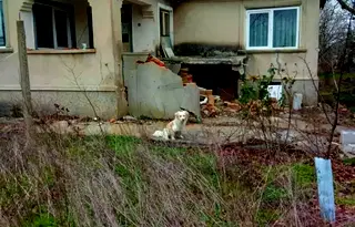 Къща в Добрич, с. Пролез