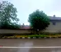 Снимка 3 — Къща в Добрич, с. Владимирово