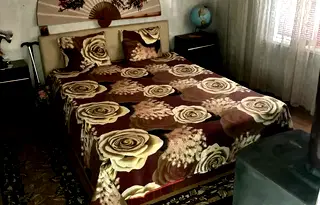 Къща в Хасково, с. Сталево