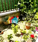 Къща във Варна, с. Приселци