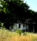 Къща във Велико Търново, с. Ново село