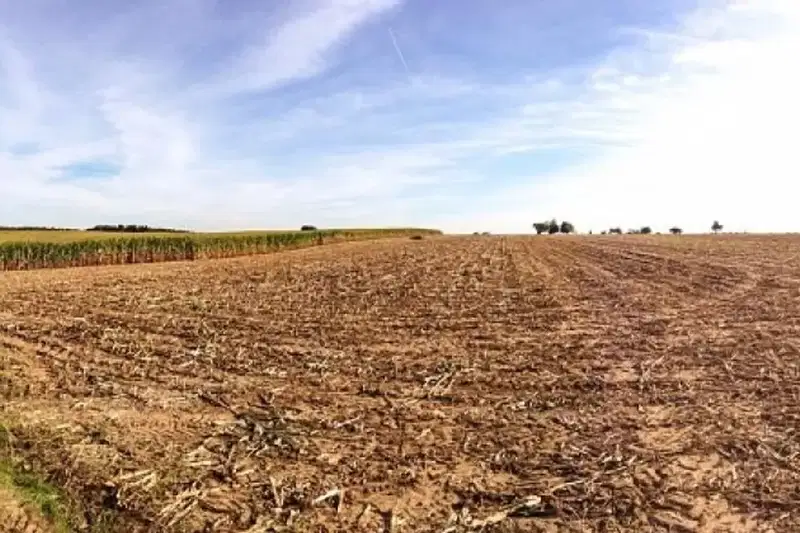 Agricultural Land in Oblast Blagoevgrad, Gyrmen
