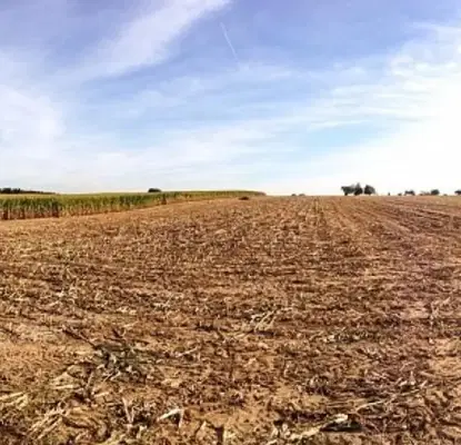 Photo 2 — Agricultural Land in Oblast Blagoevgrad, Gyrmen