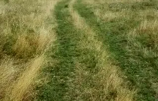 Земеделски имот в София, Костинброд