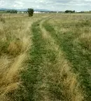 Земеделски имот в София, Костинброд