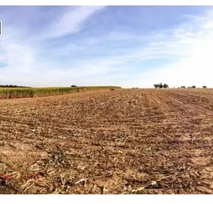 Photo 2 — Agricultural Land in Oblast Stara Zagora, Opylchenec