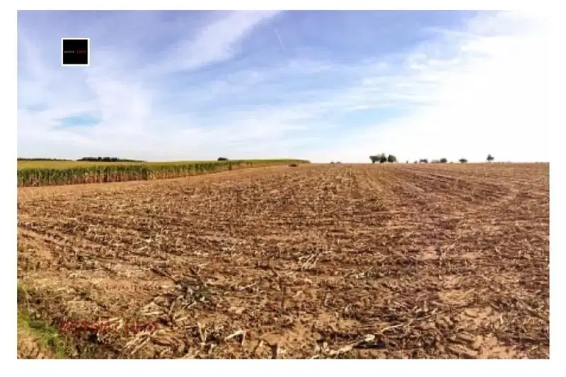 Agricultural Land in Oblast Stara Zagora, Opylchenec