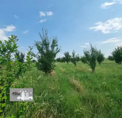 Photo 2 — Agricultural Land in Oblast Stara Zagora, Kovach