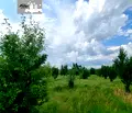 Снимка 3 — Земеделски имот в Стара Загора, с. Ковач