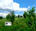 Снимка 4 — Земеделски имот в Стара Загора, с. Ковач