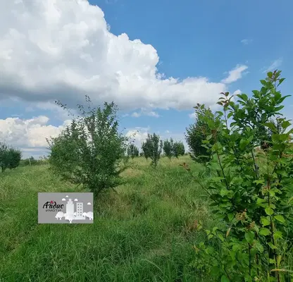 Photo 4 — Agricultural Land in Oblast Stara Zagora, Kovach