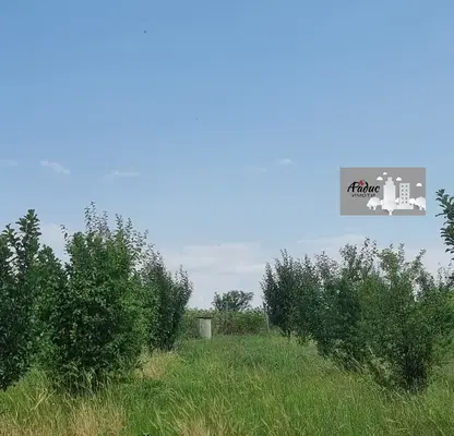 Photo 5 — Agricultural Land in Oblast Stara Zagora, Kovach