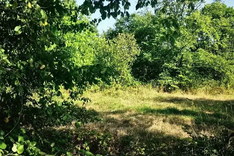 Парцел в с. Мало Бучино