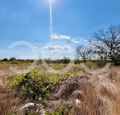 Photo 5 — Plot in Topoli