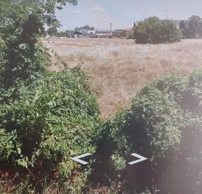 Photo 4 — Plot in Busmanci