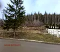 Снимка 2 — Парцел в с. Бистрица