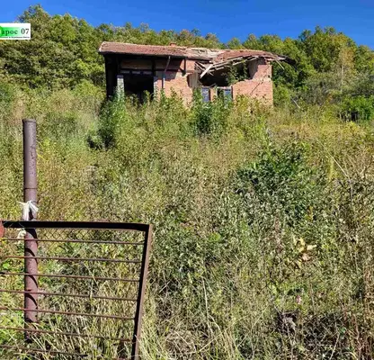Photo 3 — Plot in Vladaya