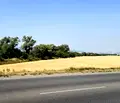 Снимка 3 — Парцел в с. Войнеговци