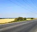 Снимка 4 — Парцел в с. Войнеговци