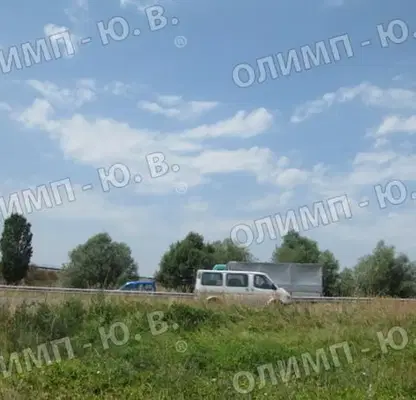 Photo 2 — Plot in Krivina