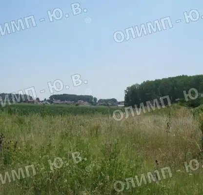 Photo 5 — Plot in Krivina