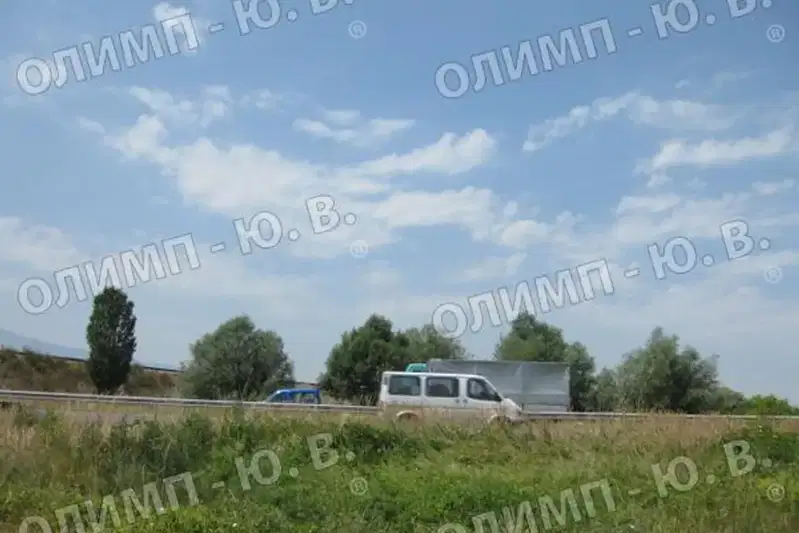Plot in Krivina