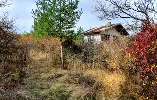 Парцел в Банкя