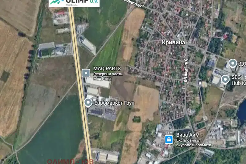 Plot in Krivina