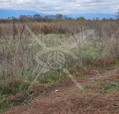 Photo 3 — Plot in Chepinci