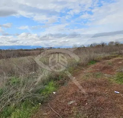 Photo 4 — Plot in Chepinci