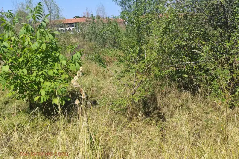 Парцел в с. Лозен