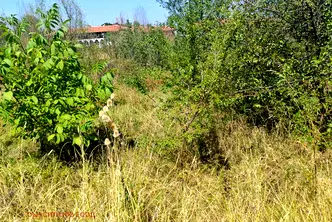Парцел в с. Лозен