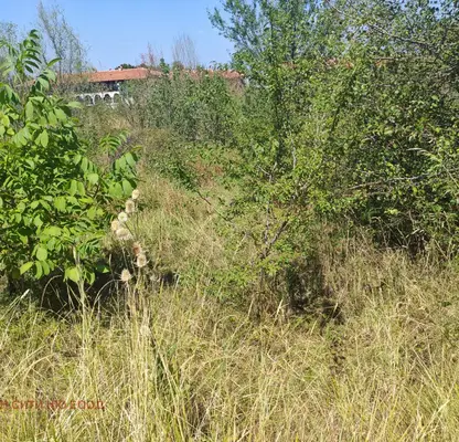 Photo 2 — Plot in Lozen