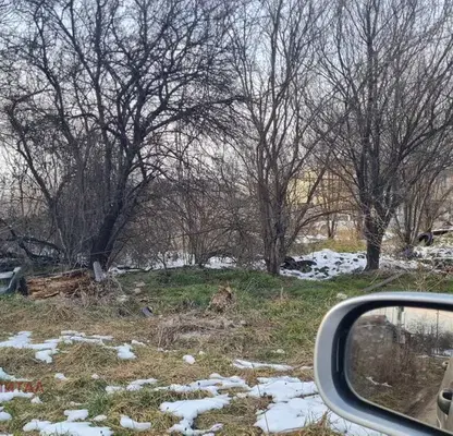 Photo 4 — Plot in Sofiya, Benkovski