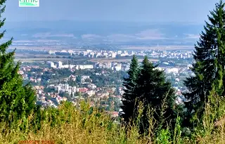 Парцел в София, Бояна