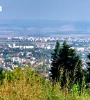 Парцел в София, Бояна